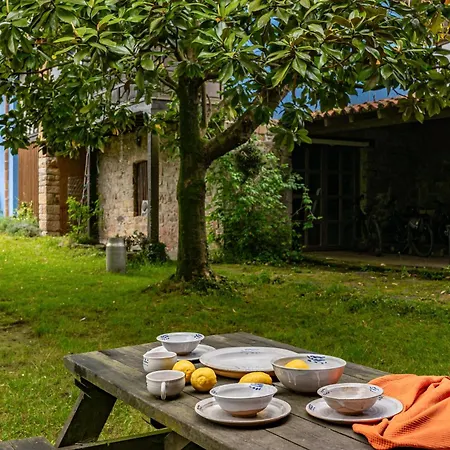 La Quintana De La Foncalada Argüero