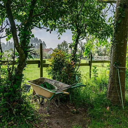 La Quintana De La Foncalada Kır Evi Argüero