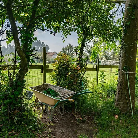 La Quintana De La Foncalada *