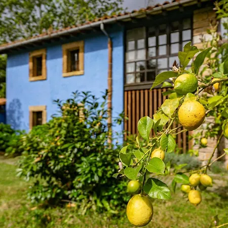 La Quintana De La Foncalada Country house
